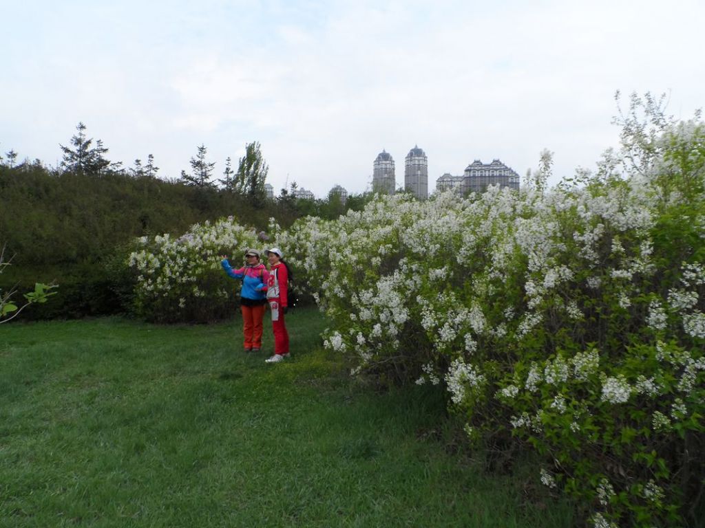 SAM_0223_����.jpg