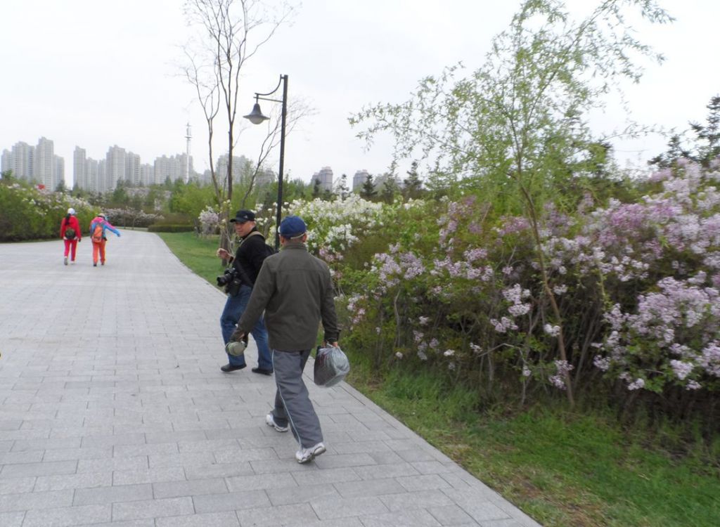 SAM_0221_����.jpg