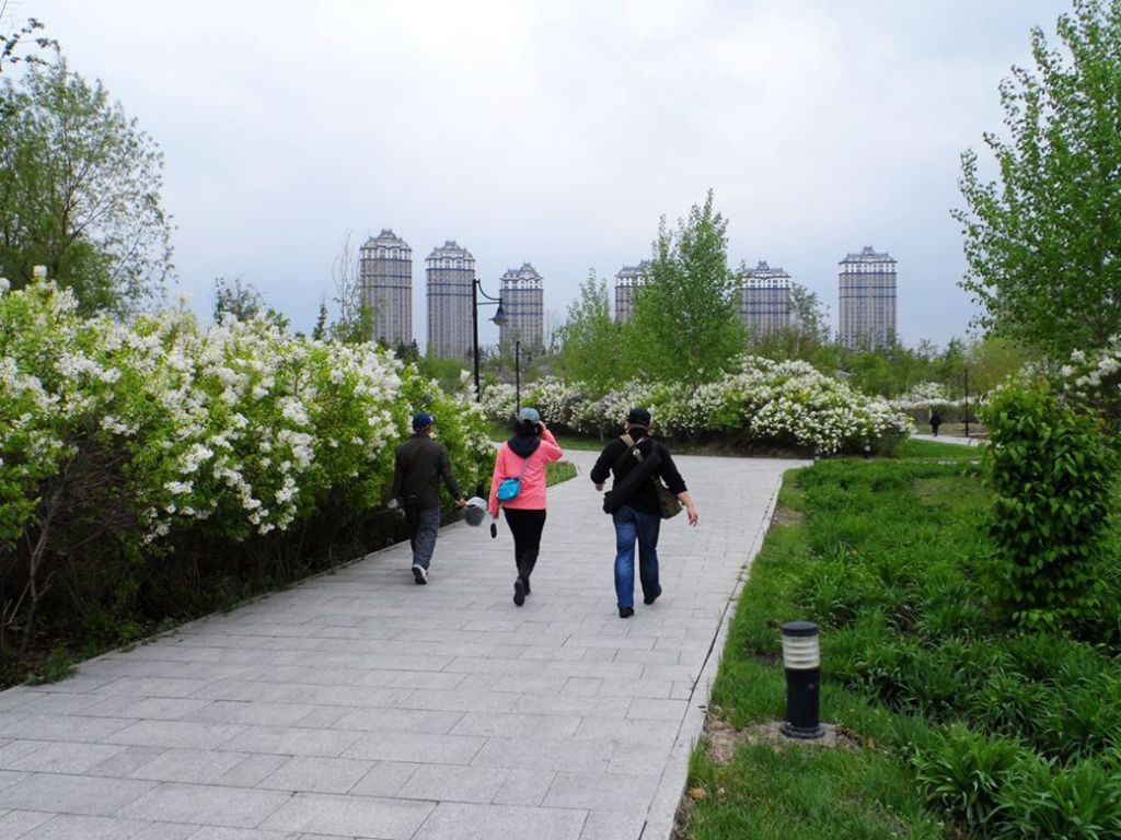 SAM_0249_����_����.jpg