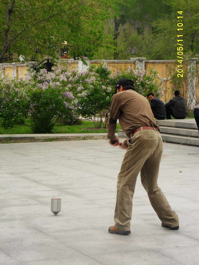SDC11195.jpg