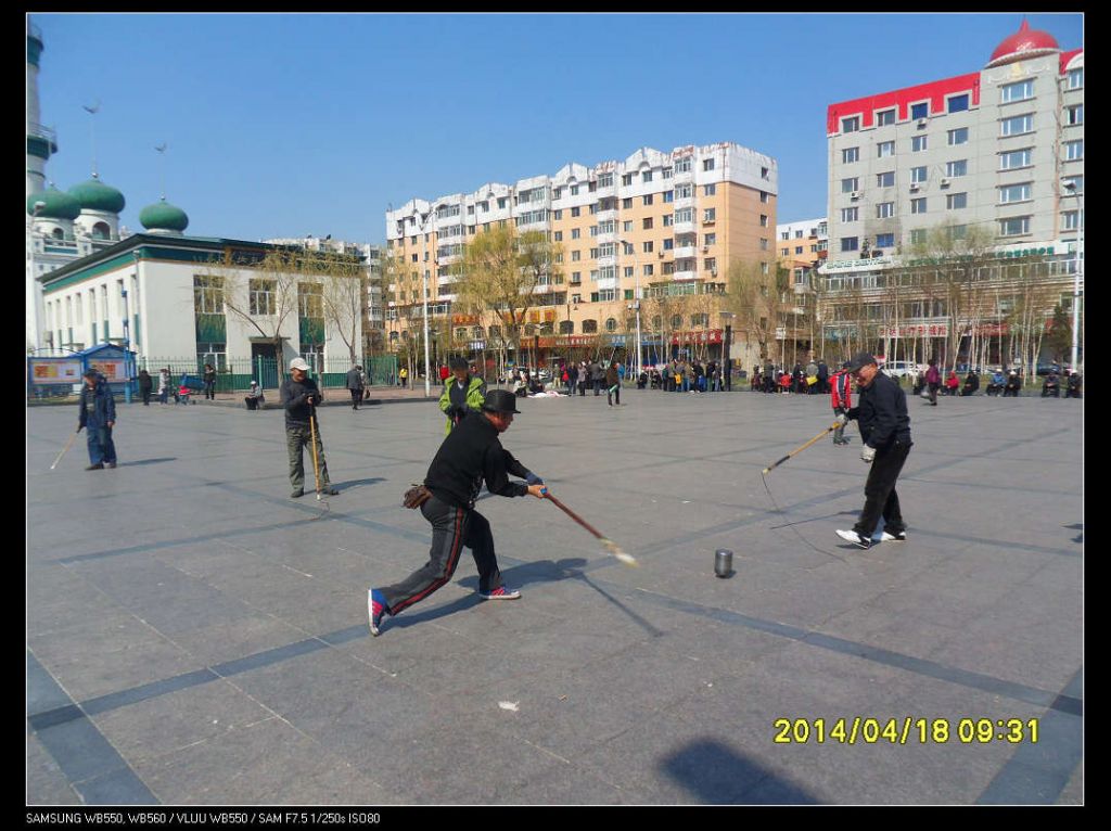 SDC11295.jpg