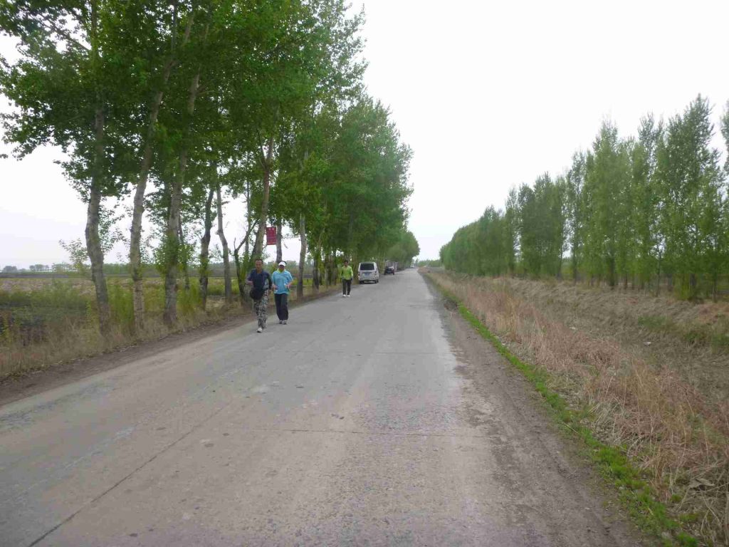 P1030997.jpg