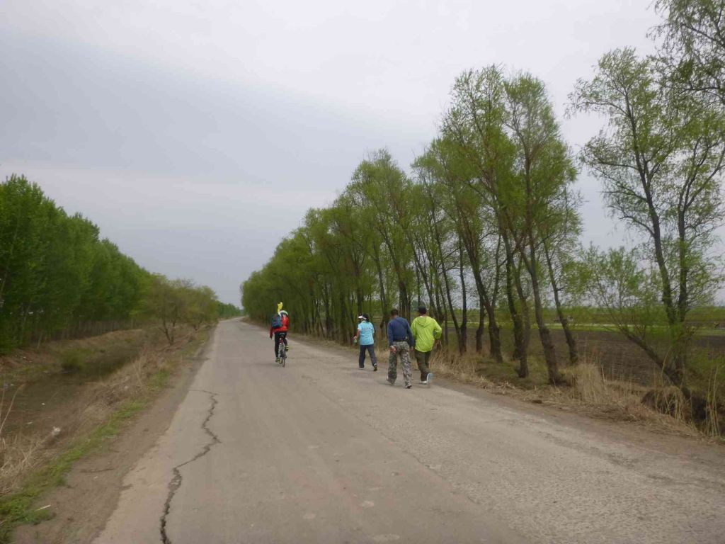P1040005.jpg