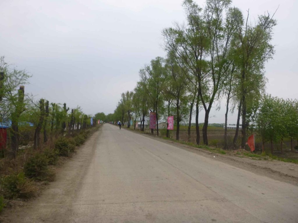 P1040007.jpg