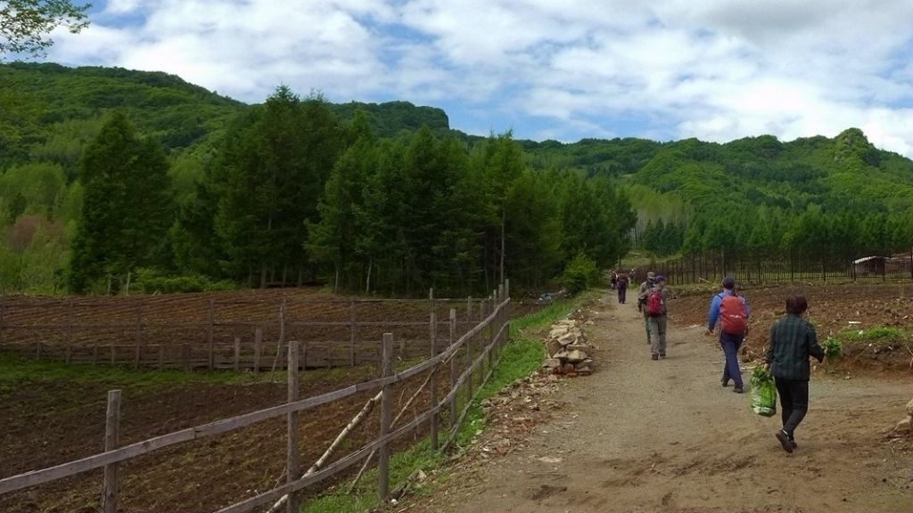 P1020847.JPG