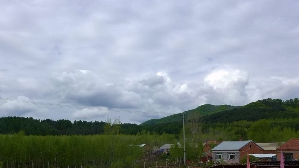 P1020841.JPG