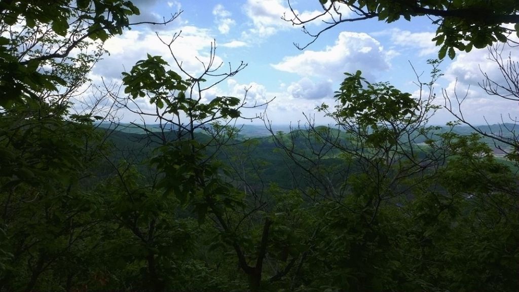 P1020859.JPG