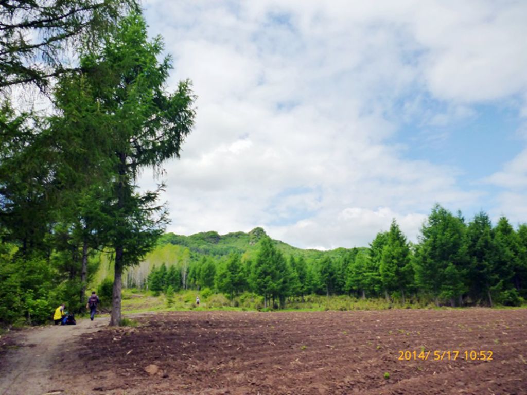 P1050622.jpg