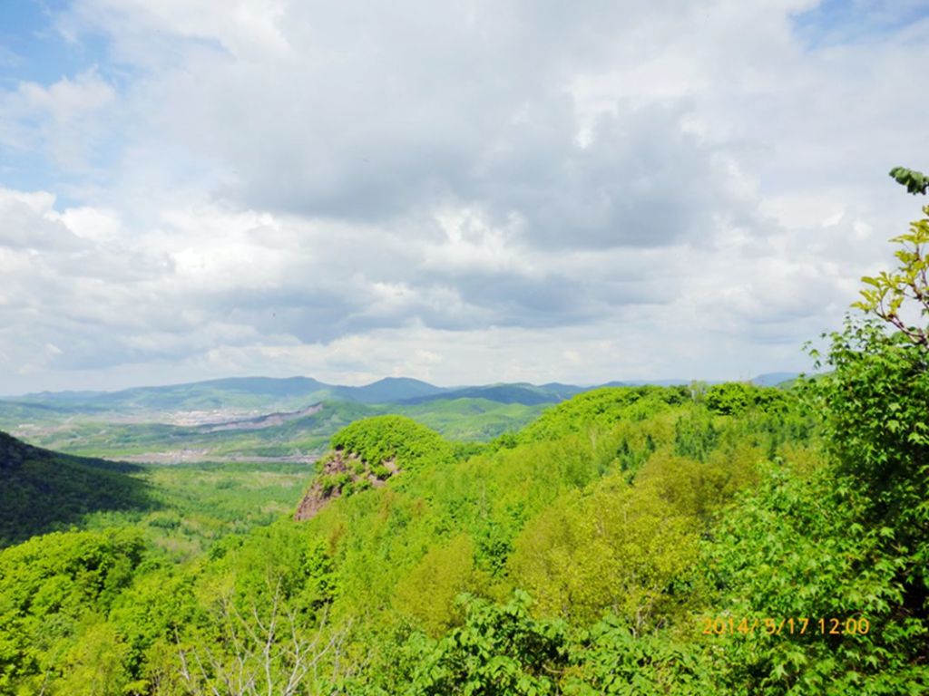 P1050639.jpg