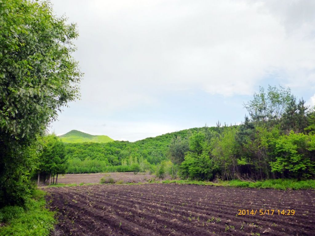 P1050643.jpg