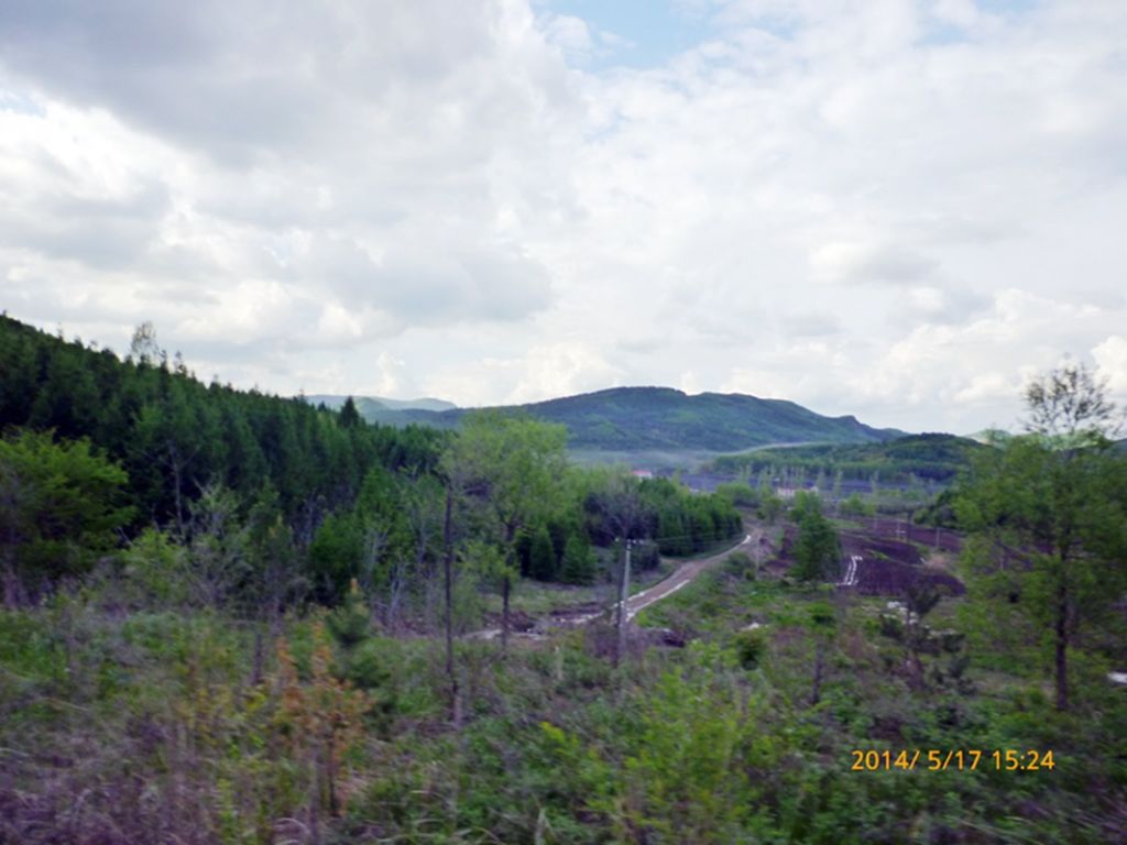 P1050659.jpg