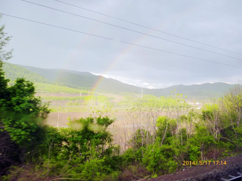 P1050661.jpg