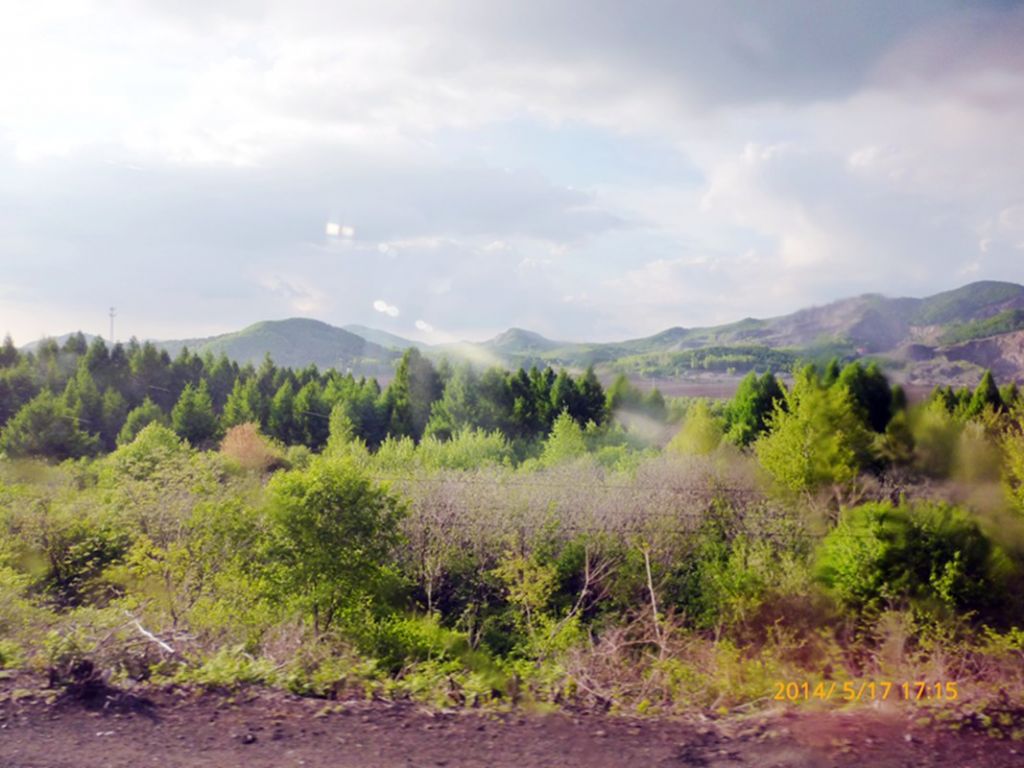 P1050663.jpg