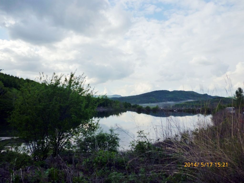 P1050654.jpg