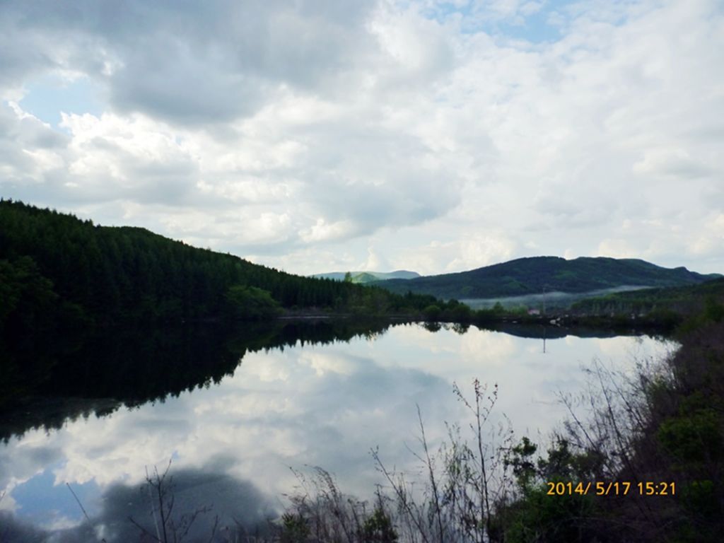 P1050656.jpg