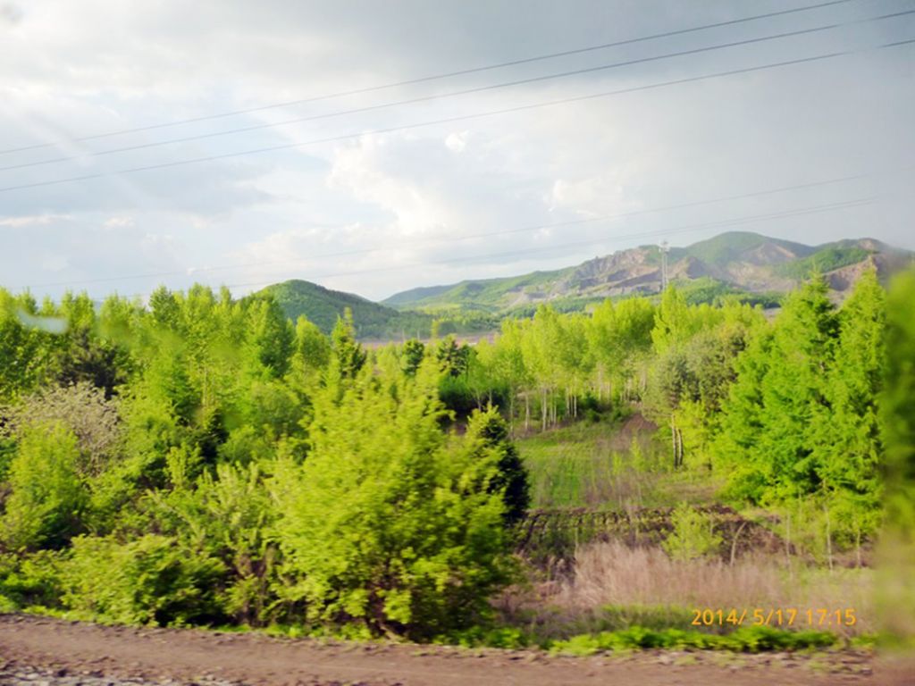P1050664.jpg