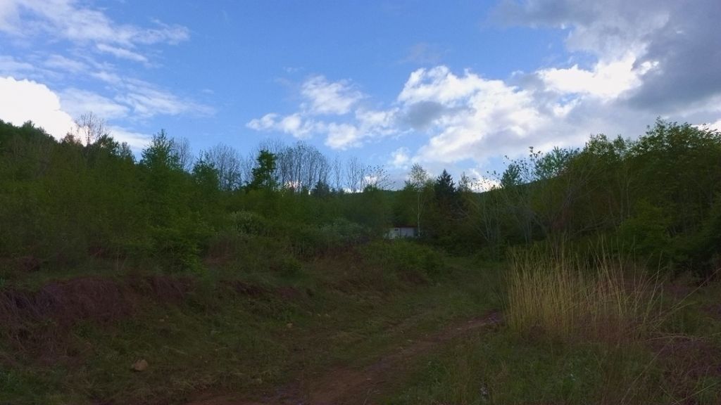 P1020879.JPG