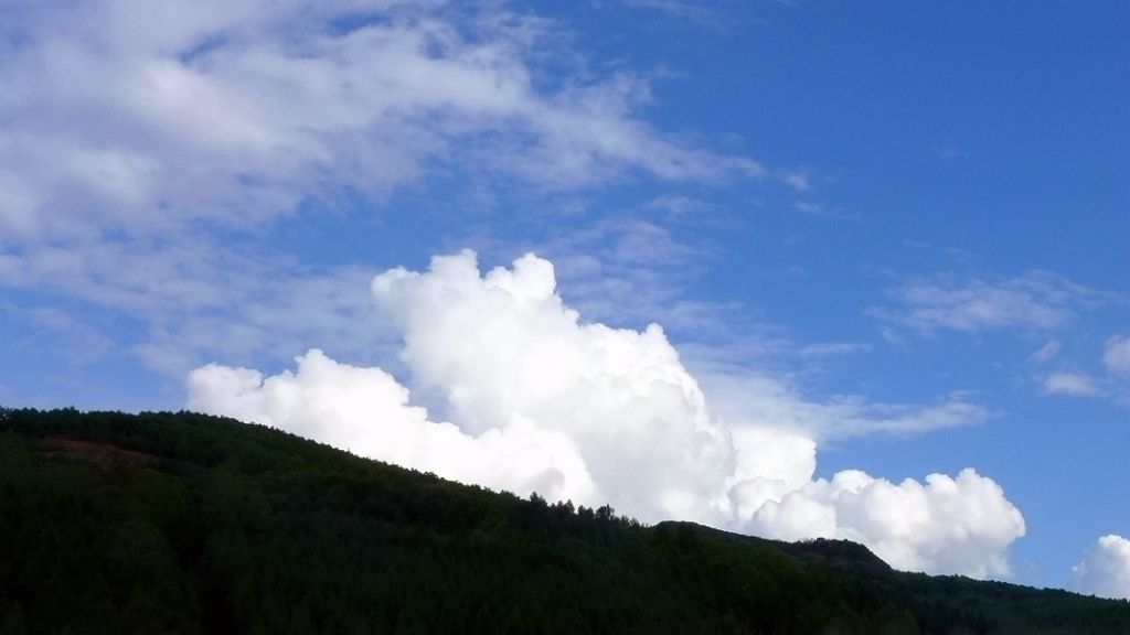P1020887.JPG
