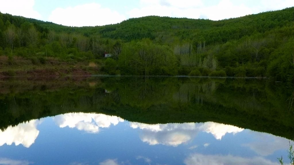 P1020884.JPG