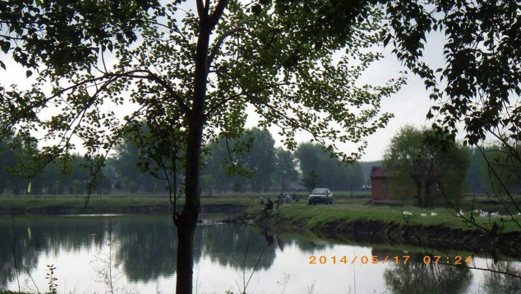 011.jpg