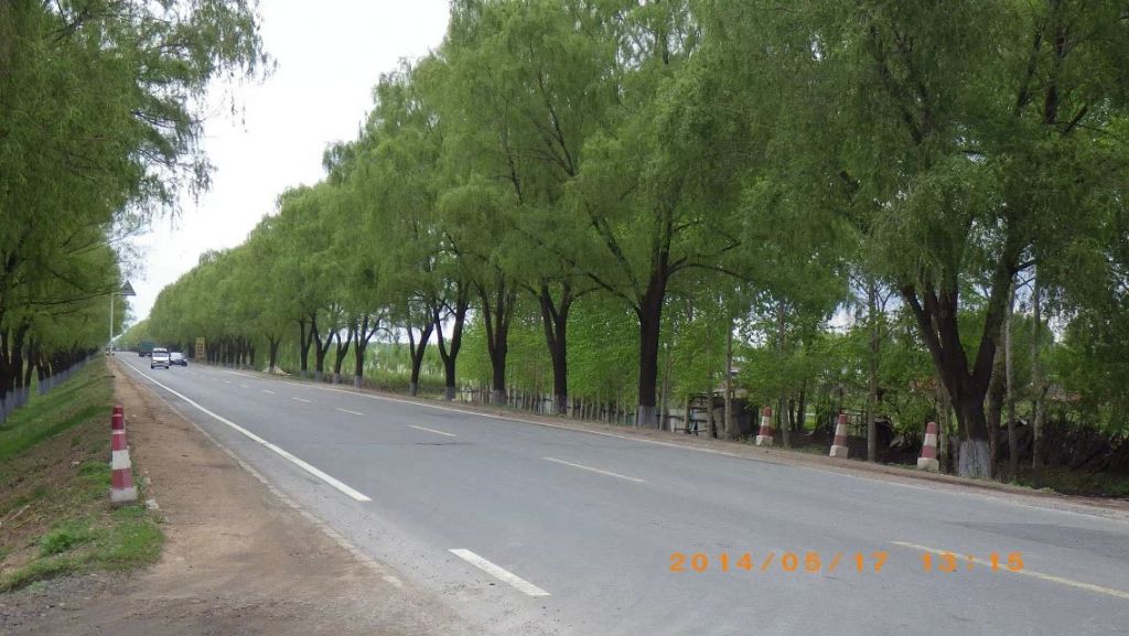 119.jpg