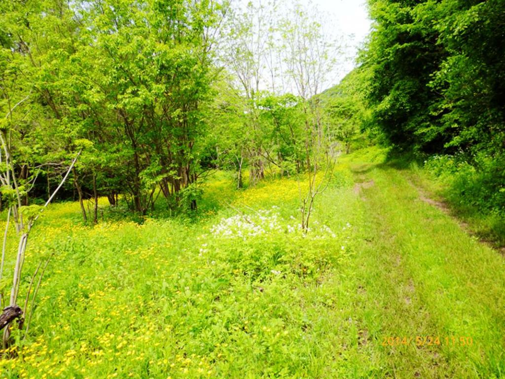 P1050690.jpg