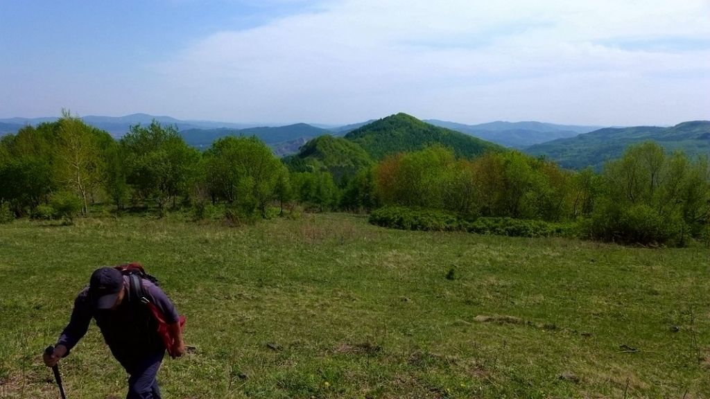 P1020700.JPG