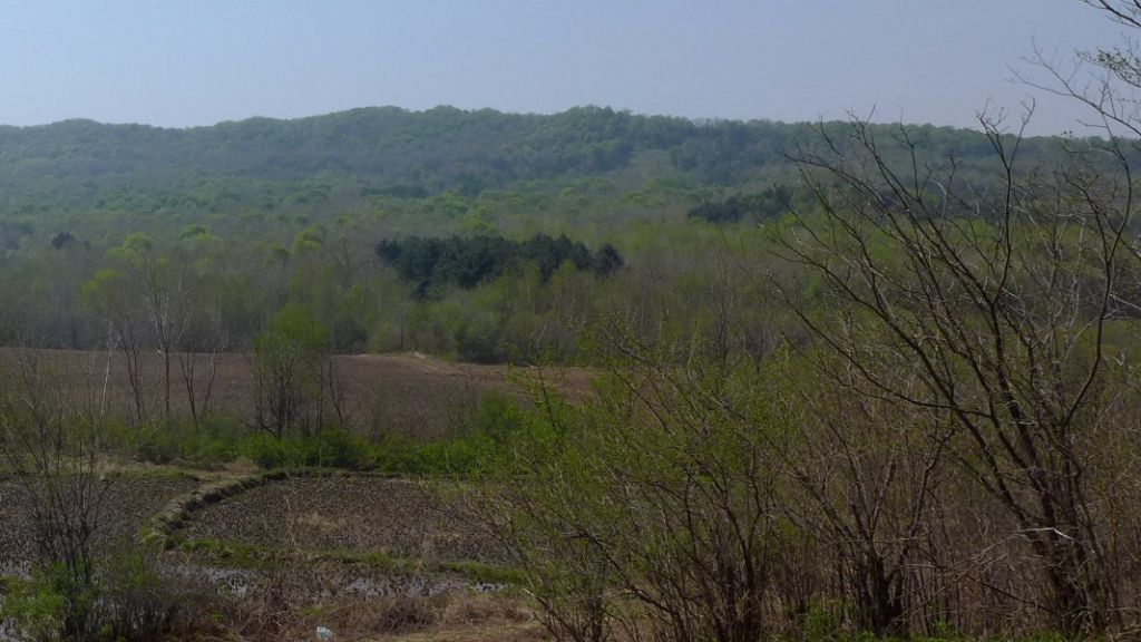 P1020584.JPG