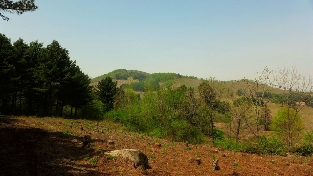 P1020581.JPG