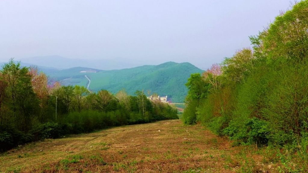 P1020597.JPG