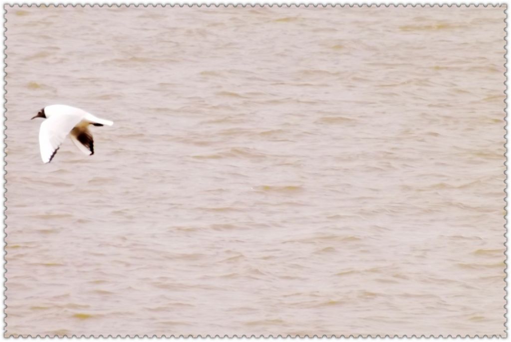 DSCF3086.jpg