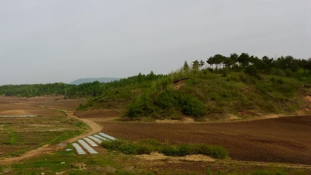 P1020724_����.jpg