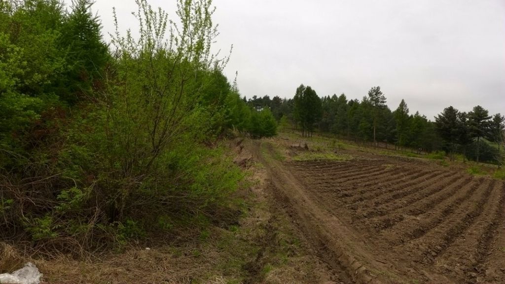 P1020732_����.jpg