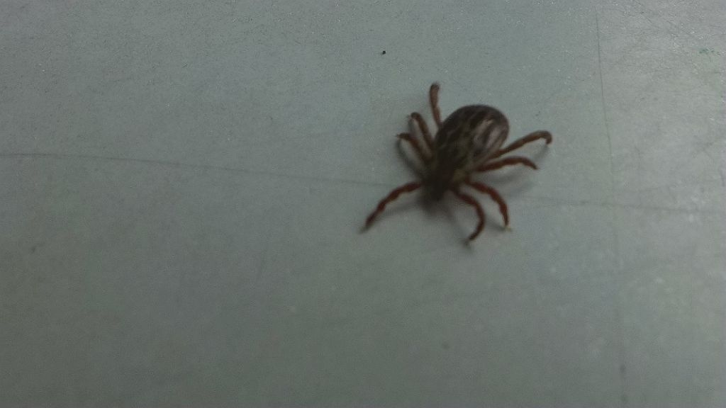 P1020762_����.jpg