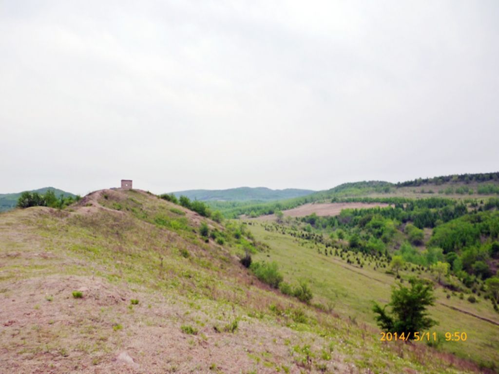 P1050516.jpg