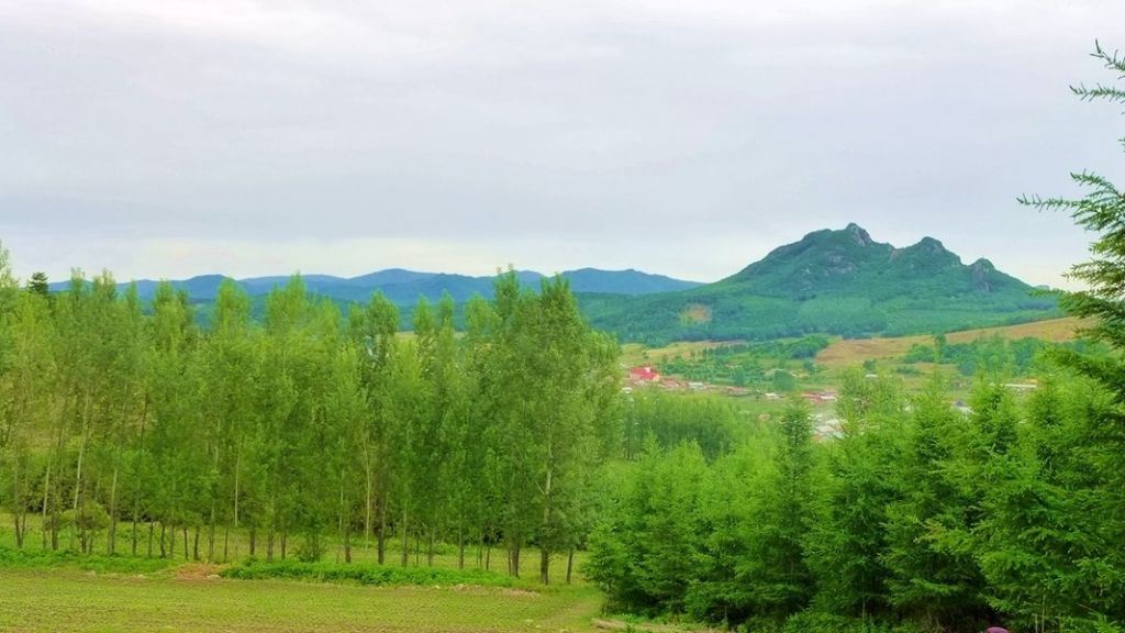 P1000026.JPG