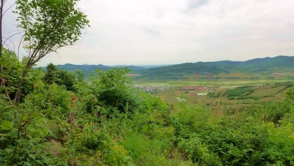 P1000028.JPG