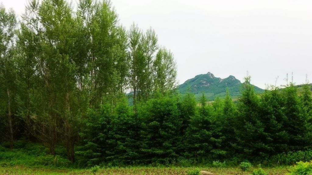 P1000024.JPG