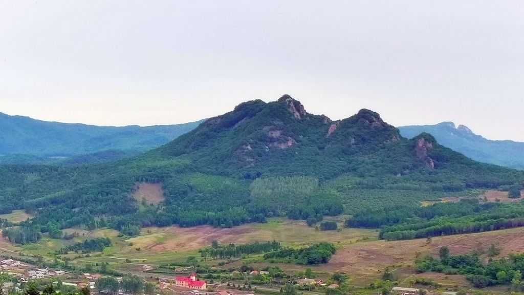 P1000041.JPG