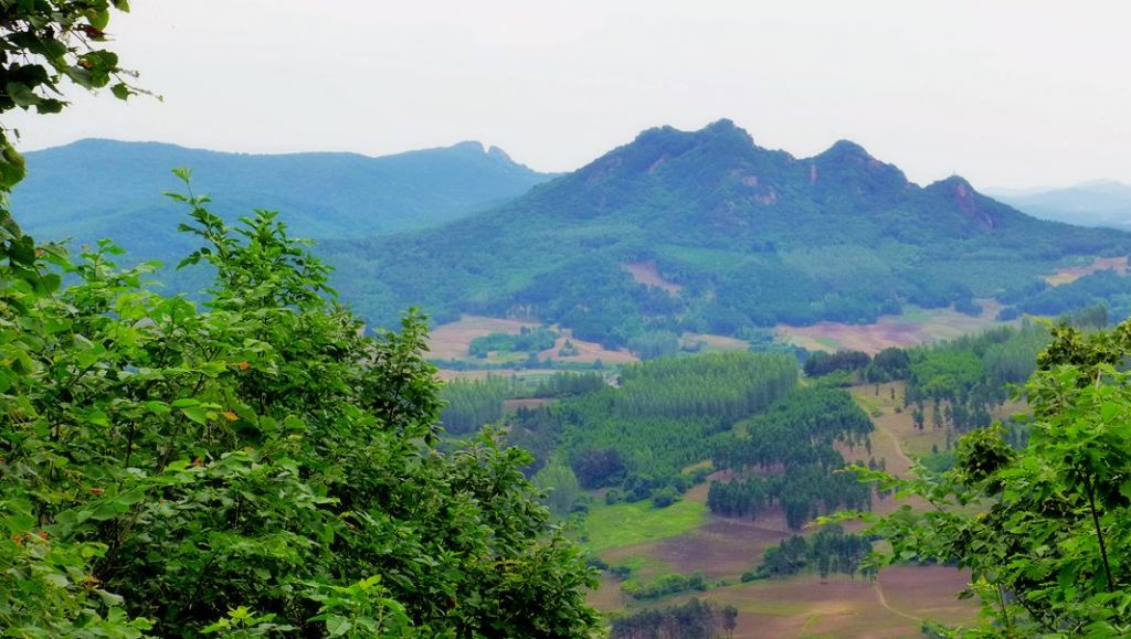 P1000077.JPG