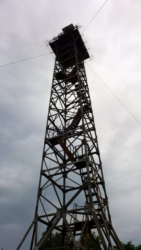 P1000079.JPG