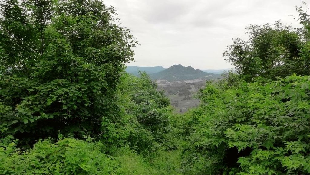 P1000075.JPG