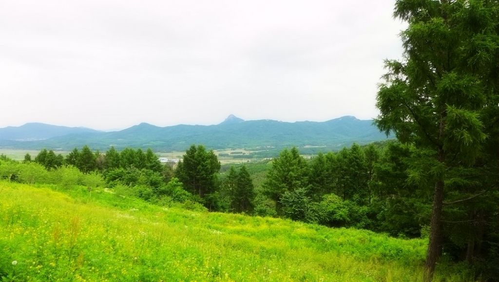 P1000090.JPG