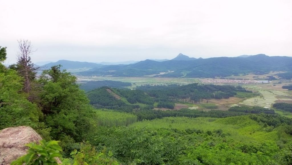 P1000106.JPG