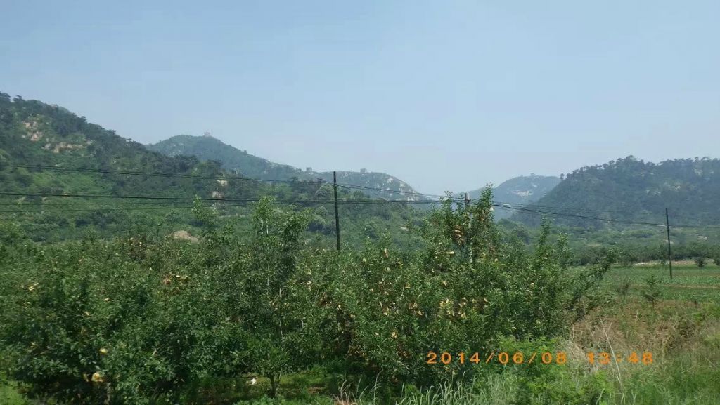 119.jpg