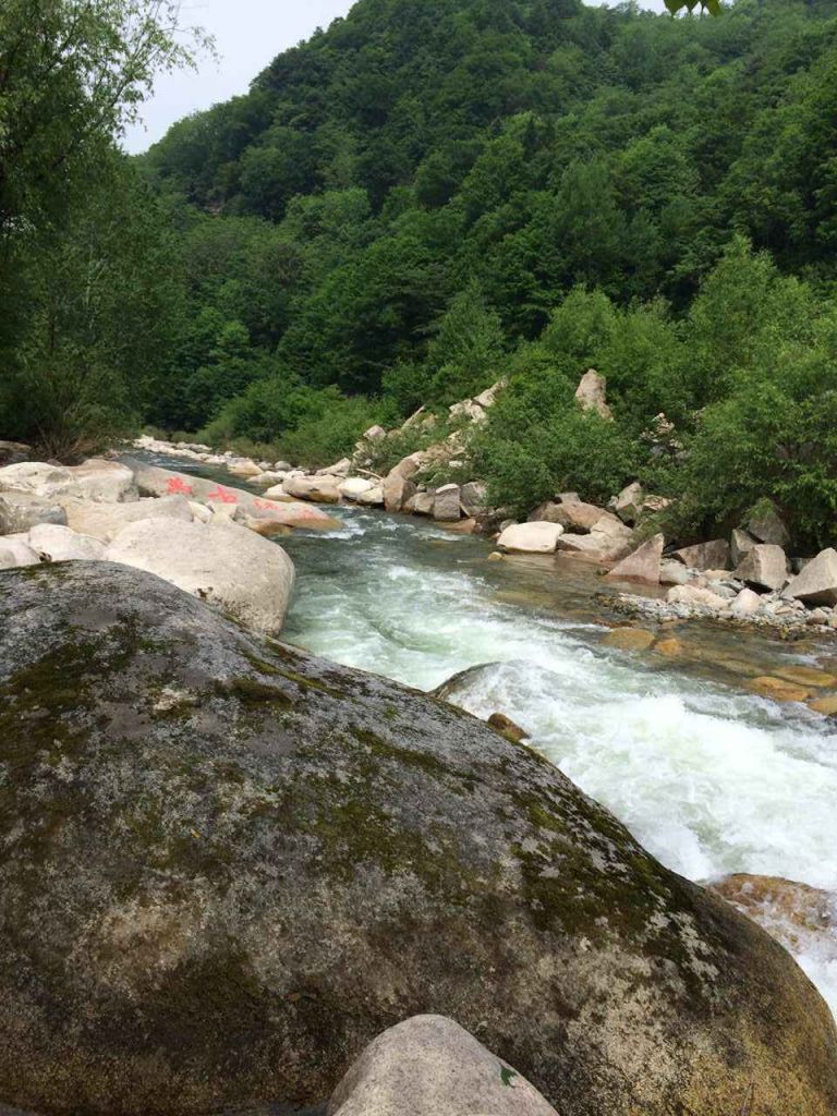 IMG_6688.JPG