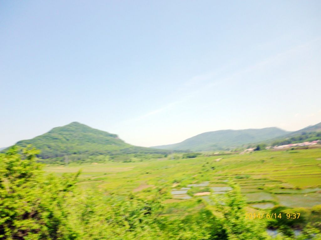 P1050754.jpg