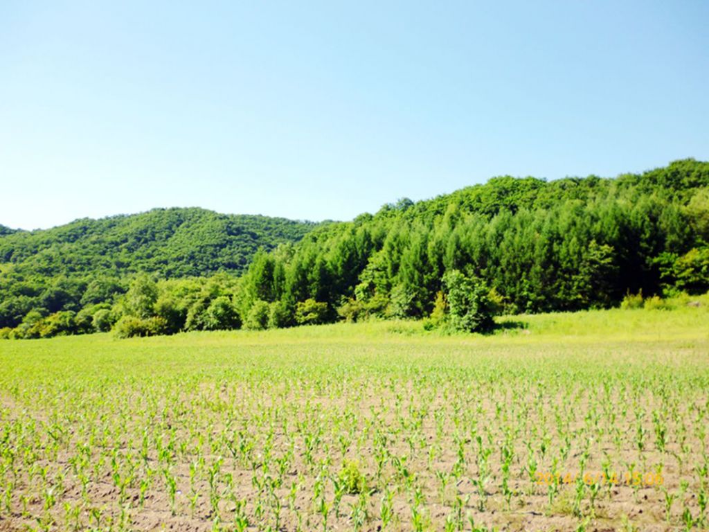 P1050800.jpg