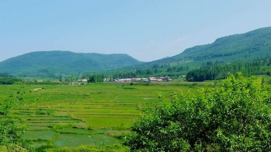 P1000207.jpg