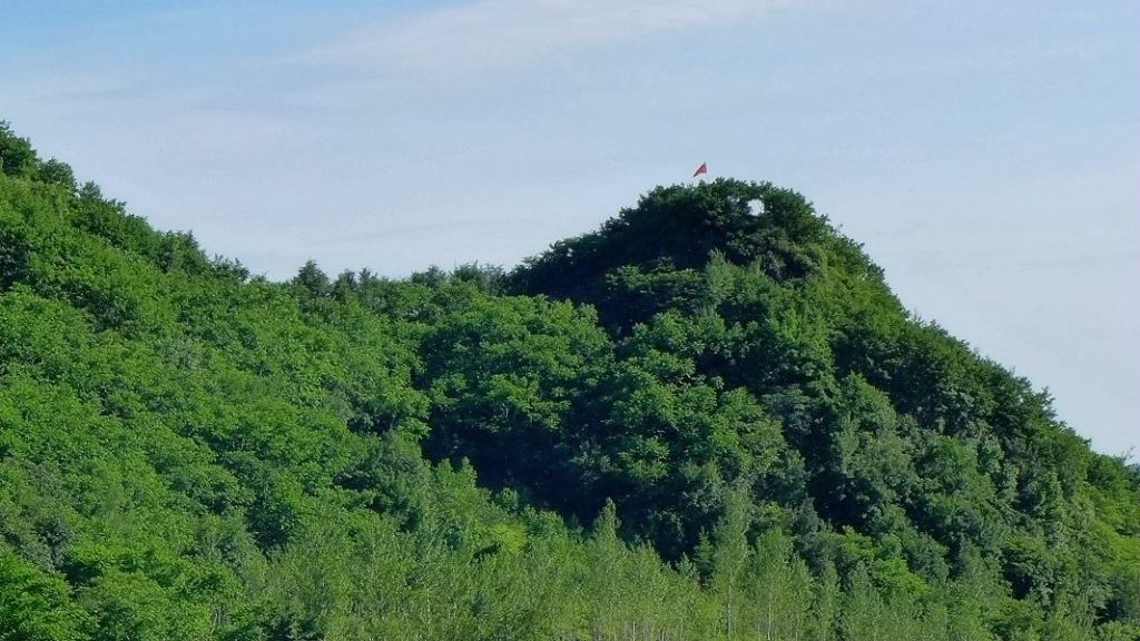 P1000204.JPG